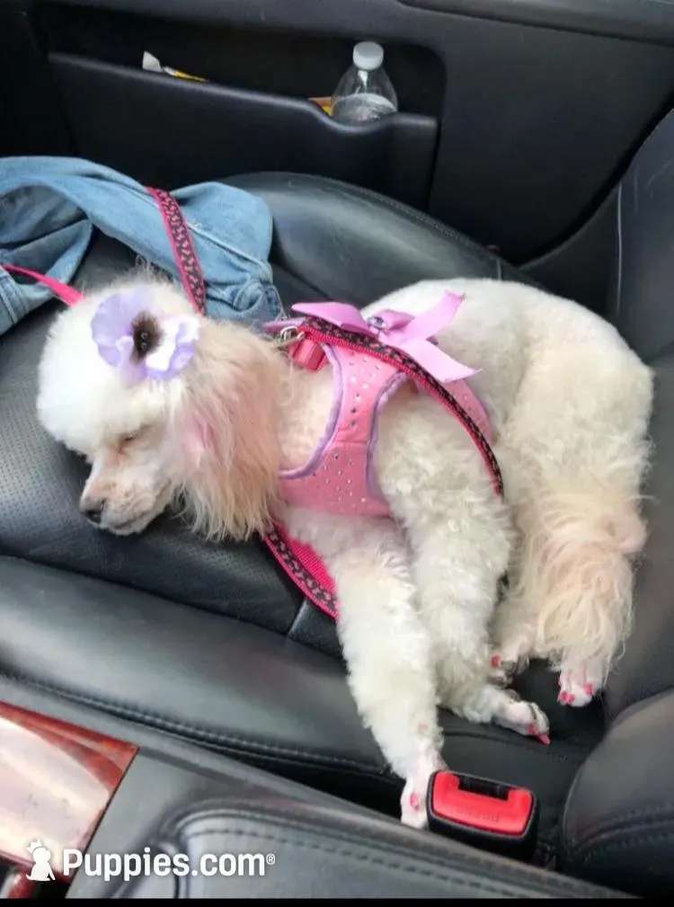 processed/966886b8-1d13-4431-ab60-b3ca7d6444fe/facility/b2a54061-1201-40bf-b683-363b25e92ba5