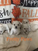 processed/966886b8-1d13-4431-ab60-b3ca7d6444fe/facility/de89d87e-f929-470a-995b-06b3baeb95b5