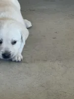 processed/966fa915-8880-4b97-8218-826914c58cab/facility/68d6069d-7b9d-4b7e-97de-b01df890eee1