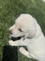 processed/966fa915-8880-4b97-8218-826914c58cab/facility/cbd45d07-55c8-4b9b-ac48-deb1aa175af4