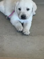 processed/966fa915-8880-4b97-8218-826914c58cab/facility/dd1bbfc7-ff13-44e8-a88b-9cd8c9a3e5f7