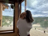 (Yellow Collar) Black Hawk, a female Golden Retriever for sale in Black Hawk, CO – 4 of 5