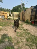 processed/9674b940-7870-4339-a400-c4f2d15e0197/facility/5405443d-1f0b-4c8f-87ff-4d784a2a2982