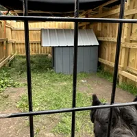 processed/9674b940-7870-4339-a400-c4f2d15e0197/facility/5d0d76fe-2467-4edb-8dde-edeb39a29227