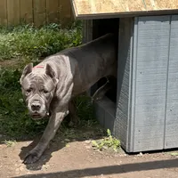 processed/9674b940-7870-4339-a400-c4f2d15e0197/facility/b3d5c2ce-4eae-4296-a034-0d7b7fd9d184