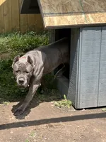 processed/9674b940-7870-4339-a400-c4f2d15e0197/facility/b3d5c2ce-4eae-4296-a034-0d7b7fd9d184