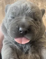 processed/9674b940-7870-4339-a400-c4f2d15e0197/listing/f9498e96-823e-490b-96e7-565bbd03f3f6/95b92d7f-649d-4e13-9937-0a0e3b702d7f