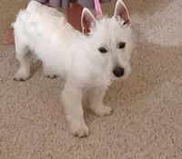 processed/967a6866-3425-4e5c-862d-7b2e954cbc9c/listing/434729f1-57a4-4348-88dd-7076837e1602/83bc5c5d-963f-4268-9c4f-5a086407462f