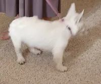 processed/967a6866-3425-4e5c-862d-7b2e954cbc9c/listing/434729f1-57a4-4348-88dd-7076837e1602/abf4e47b-c7c6-4eed-9255-67a7db1a9d89