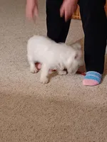 processed/967a6866-3425-4e5c-862d-7b2e954cbc9c/listing/4f013ad5-19f5-4d16-8914-01fdb1cd3532/4fc7bf87-16f3-4c03-832a-d4464f3d2d3c