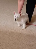 processed/967a6866-3425-4e5c-862d-7b2e954cbc9c/listing/4f013ad5-19f5-4d16-8914-01fdb1cd3532/7f28cecd-0816-4482-b81a-59cdf66d85a6