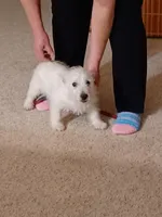 processed/967a6866-3425-4e5c-862d-7b2e954cbc9c/listing/4f013ad5-19f5-4d16-8914-01fdb1cd3532/9630b064-2e4f-4c15-825f-6c103d24d835