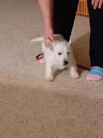 processed/967a6866-3425-4e5c-862d-7b2e954cbc9c/listing/4f013ad5-19f5-4d16-8914-01fdb1cd3532/9f787926-e76e-436e-ad98-3cc5f4466f4a