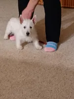 processed/967a6866-3425-4e5c-862d-7b2e954cbc9c/listing/4f013ad5-19f5-4d16-8914-01fdb1cd3532/ec6b9d15-3ec7-4e44-8bfd-5c82a2d4a3b3