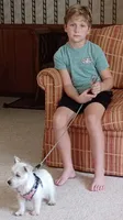 Dan, a male West Highland White Terrier for sale in Asheboro, NC – 2 of 10