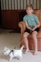Dan, a male West Highland White Terrier for sale in Asheboro, NC – 1 of 10