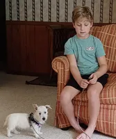 Dan, a male West Highland White Terrier for sale in Asheboro, NC – 7 of 10