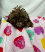 processed/967a96bf-83e9-461f-b9ff-5c6f20289ada/listing/4b133f78-2624-4baa-90c6-ad2404ad6f83/55d3d0a0-fadd-4e49-ab53-0a3de55b7b19