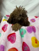 processed/967a96bf-83e9-461f-b9ff-5c6f20289ada/listing/4b133f78-2624-4baa-90c6-ad2404ad6f83/56103a6f-5cb6-4627-8fe1-01a98e096459