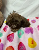 processed/967a96bf-83e9-461f-b9ff-5c6f20289ada/listing/4b133f78-2624-4baa-90c6-ad2404ad6f83/91442d64-6b9b-4058-bd05-12f5cfa86f2b