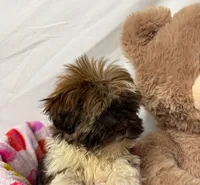 processed/967a96bf-83e9-461f-b9ff-5c6f20289ada/listing/a0ba9e75-e9f3-4ba6-8d2e-fbbcb75da59e/0d52ff99-68fd-4ef2-b0ba-d0dc3f0c1b4b