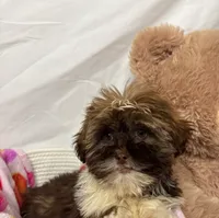 processed/967a96bf-83e9-461f-b9ff-5c6f20289ada/listing/a0ba9e75-e9f3-4ba6-8d2e-fbbcb75da59e/5216a661-845b-45bd-92f7-102c66ecf1a5