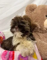 processed/967a96bf-83e9-461f-b9ff-5c6f20289ada/listing/a0ba9e75-e9f3-4ba6-8d2e-fbbcb75da59e/5e0c88cd-abcf-4aa6-9b25-e3b2fee44706