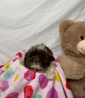 processed/967a96bf-83e9-461f-b9ff-5c6f20289ada/listing/a378e21f-1288-4081-ae90-772a0e267bff/45044fa3-c98f-4560-8e0b-6098ed39d925