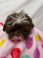 processed/967a96bf-83e9-461f-b9ff-5c6f20289ada/listing/a378e21f-1288-4081-ae90-772a0e267bff/d8066c78-ac7b-4c9d-bfdf-f80c23e01e4c