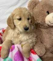 processed/967a96bf-83e9-461f-b9ff-5c6f20289ada/listing/bc04c069-194c-4f7c-9cc8-074bfcd85291/04cd5a9e-1363-4154-be9f-28f9b0e6bc22