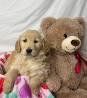 processed/967a96bf-83e9-461f-b9ff-5c6f20289ada/listing/bc04c069-194c-4f7c-9cc8-074bfcd85291/45883f4b-bad1-4f19-a1c8-2bd673111529