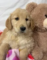 processed/967a96bf-83e9-461f-b9ff-5c6f20289ada/listing/bc04c069-194c-4f7c-9cc8-074bfcd85291/86f9b258-3758-4917-a8ed-16f011a9468d