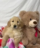 processed/967a96bf-83e9-461f-b9ff-5c6f20289ada/listing/bc04c069-194c-4f7c-9cc8-074bfcd85291/fa4380de-08b4-4f9b-b155-397c1f169dce