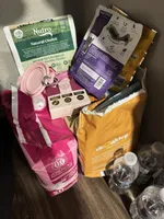 Pink , a female Pomeranian for sale in Williston, ND – Photo 2 of 3