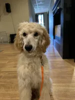 processed/969fa98f-9cd5-40b9-b16f-3b8d2812de6e/listing/be3293c0-ac27-4d83-9389-1d9bc233bbac/0afc52a6-a6dc-4d08-b0ad-2ee0eac548a8