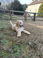 processed/969fa98f-9cd5-40b9-b16f-3b8d2812de6e/listing/be3293c0-ac27-4d83-9389-1d9bc233bbac/2e9ceef4-7a2e-4176-bc8d-0f26b66ad617