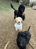 processed/969fa98f-9cd5-40b9-b16f-3b8d2812de6e/listing/be3293c0-ac27-4d83-9389-1d9bc233bbac/43425496-cf8d-4651-9440-5270b6540516