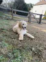 processed/969fa98f-9cd5-40b9-b16f-3b8d2812de6e/listing/be3293c0-ac27-4d83-9389-1d9bc233bbac/494ba88e-cf26-4a1d-999c-0561147e5699