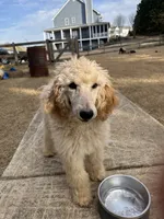 processed/969fa98f-9cd5-40b9-b16f-3b8d2812de6e/listing/be3293c0-ac27-4d83-9389-1d9bc233bbac/ec1b2996-84cc-459c-9e14-0dddac29c984