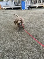 processed/969fa98f-9cd5-40b9-b16f-3b8d2812de6e/listing/d63f9f1d-aca8-4fa6-8c3f-405117303016/019bc870-4d96-4349-9347-8f6dcfe250c2