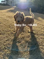 processed/969fa98f-9cd5-40b9-b16f-3b8d2812de6e/listing/d63f9f1d-aca8-4fa6-8c3f-405117303016/42a055f1-09c7-4441-b442-6140c7c7ce6b