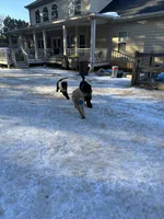 processed/969fa98f-9cd5-40b9-b16f-3b8d2812de6e/listing/d63f9f1d-aca8-4fa6-8c3f-405117303016/6ce02ac2-82c9-4e55-9dc3-bf5ecf2bec52