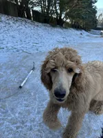 processed/969fa98f-9cd5-40b9-b16f-3b8d2812de6e/listing/d63f9f1d-aca8-4fa6-8c3f-405117303016/a6fff3b9-3d11-4408-9892-5ff9baca0a03