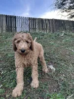 processed/969fa98f-9cd5-40b9-b16f-3b8d2812de6e/listing/d63f9f1d-aca8-4fa6-8c3f-405117303016/ddd3279e-608e-40b6-99f5-d3c805666980