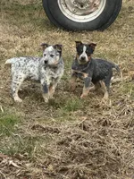 processed/96a3e859-1e2e-419b-936b-f5ffcbe270fd/listing/29e63df8-f0e9-4624-be47-e0600f101143/cc1a4be5-6c70-4dea-957c-b7f7ee159733