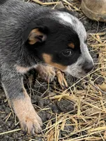 processed/96a3e859-1e2e-419b-936b-f5ffcbe270fd/listing/b4586458-274e-4f78-8646-f299219a6281/6e147a7f-8a88-41b7-bd33-0cdec11b1f9f