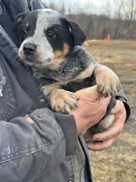 processed/96a3e859-1e2e-419b-936b-f5ffcbe270fd/listing/b4586458-274e-4f78-8646-f299219a6281/786086e3-faca-4e77-afb2-cd444afaf413