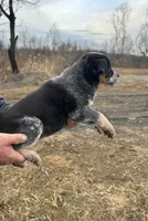 processed/96a3e859-1e2e-419b-936b-f5ffcbe270fd/listing/b4586458-274e-4f78-8646-f299219a6281/c066b756-9768-4961-9f40-784837db989f