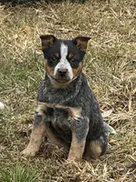 processed/96a3e859-1e2e-419b-936b-f5ffcbe270fd/listing/e5786e01-afe1-4957-9818-e6af38bf4a70/047a8238-a4ec-4ba4-b92e-b8c55f729d3c