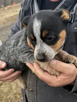 processed/96a3e859-1e2e-419b-936b-f5ffcbe270fd/listing/e5786e01-afe1-4957-9818-e6af38bf4a70/79413fc6-8d7d-481a-8a8b-dd824c02c787